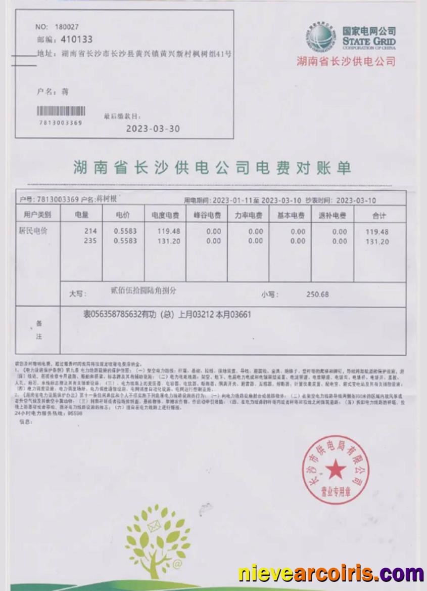 China state power grid utility bill